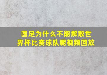 国足为什么不能解散世界杯比赛球队呢视频回放