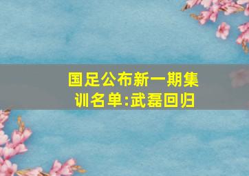 国足公布新一期集训名单:武磊回归