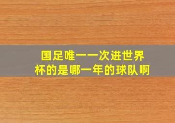 国足唯一一次进世界杯的是哪一年的球队啊