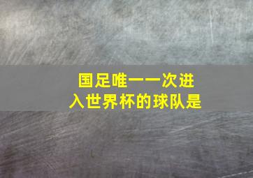 国足唯一一次进入世界杯的球队是