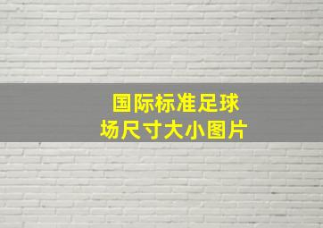 国际标准足球场尺寸大小图片