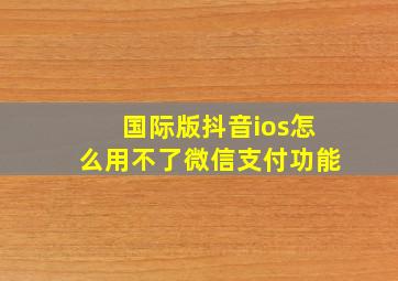 国际版抖音ios怎么用不了微信支付功能