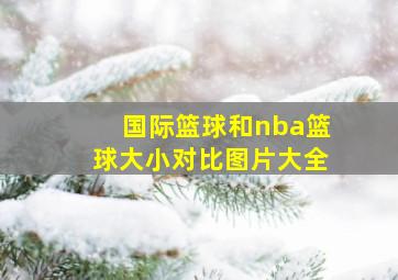 国际篮球和nba篮球大小对比图片大全