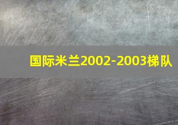 国际米兰2002-2003梯队