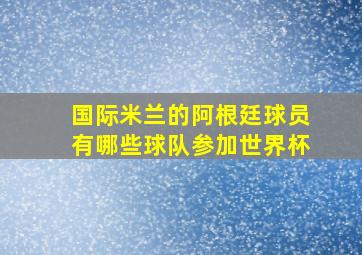 国际米兰的阿根廷球员有哪些球队参加世界杯