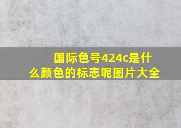 国际色号424c是什么颜色的标志呢图片大全