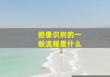 图像识别的一般流程是什么