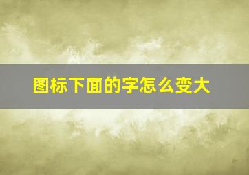 图标下面的字怎么变大