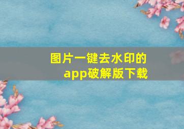 图片一键去水印的app破解版下载