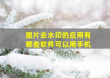 图片去水印的应用有哪些软件可以用手机