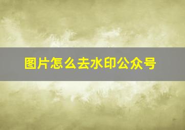 图片怎么去水印公众号