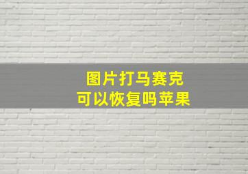 图片打马赛克可以恢复吗苹果