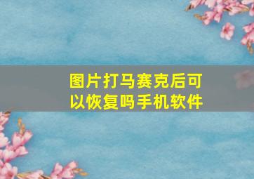 图片打马赛克后可以恢复吗手机软件