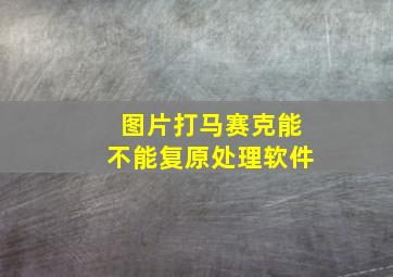 图片打马赛克能不能复原处理软件