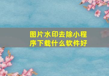 图片水印去除小程序下载什么软件好