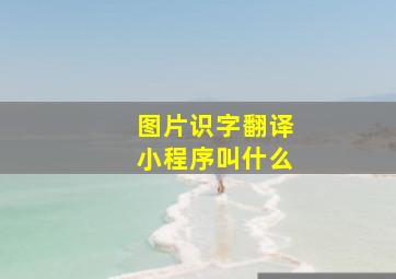 图片识字翻译小程序叫什么