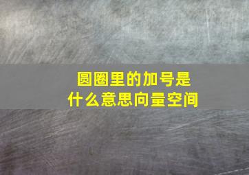 圆圈里的加号是什么意思向量空间