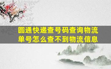 圆通快递查号码查询物流单号怎么查不到物流信息