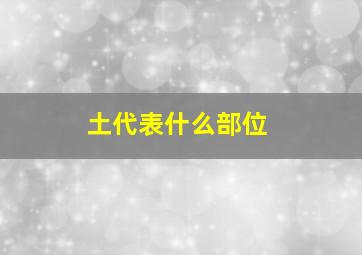 土代表什么部位