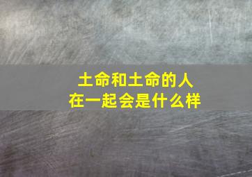 土命和土命的人在一起会是什么样