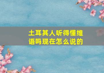 土耳其人听得懂维语吗现在怎么说的