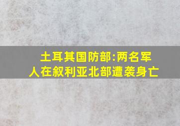 土耳其国防部:两名军人在叙利亚北部遭袭身亡