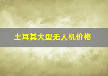 土耳其大型无人机价格