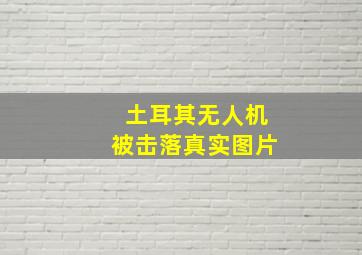 土耳其无人机被击落真实图片