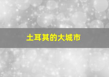 土耳其的大城市