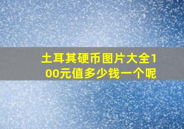 土耳其硬币图片大全100元值多少钱一个呢