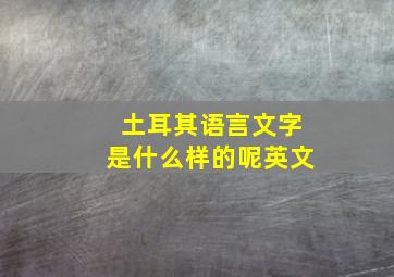 土耳其语言文字是什么样的呢英文