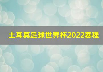 土耳其足球世界杯2022赛程