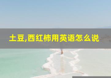 土豆,西红柿用英语怎么说