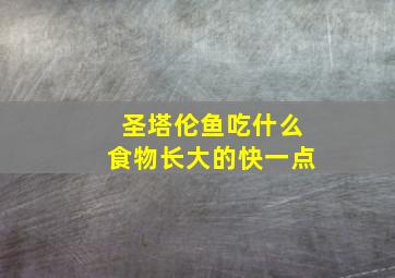 圣塔伦鱼吃什么食物长大的快一点