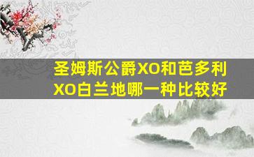 圣姆斯公爵XO和芭多利XO白兰地哪一种比较好