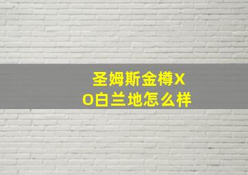 圣姆斯金樽XO白兰地怎么样