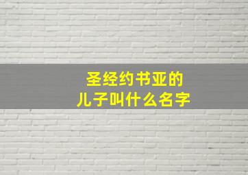 圣经约书亚的儿子叫什么名字