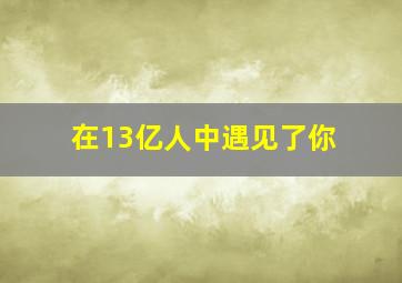 在13亿人中遇见了你