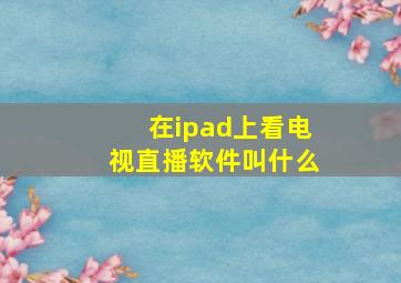 在ipad上看电视直播软件叫什么