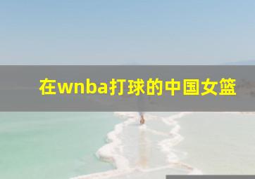 在wnba打球的中国女篮