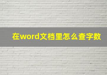 在word文档里怎么查字数