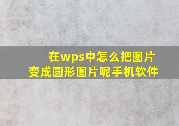 在wps中怎么把图片变成圆形图片呢手机软件