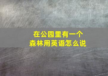 在公园里有一个森林用英语怎么说