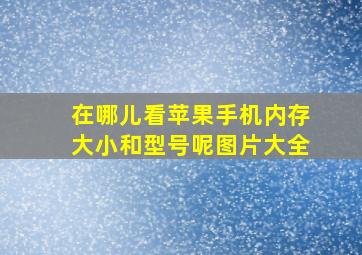 在哪儿看苹果手机内存大小和型号呢图片大全