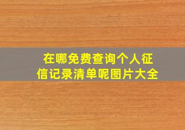 在哪免费查询个人征信记录清单呢图片大全