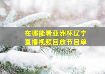 在哪能看亚洲杯辽宁直播视频回放节目单