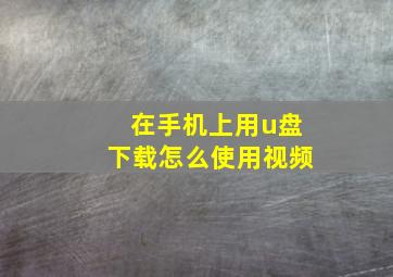 在手机上用u盘下载怎么使用视频