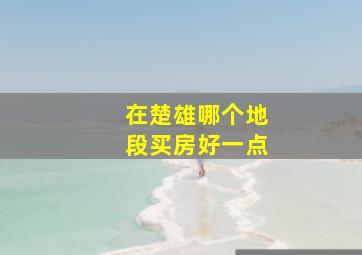 在楚雄哪个地段买房好一点