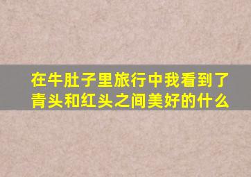 在牛肚子里旅行中我看到了青头和红头之间美好的什么