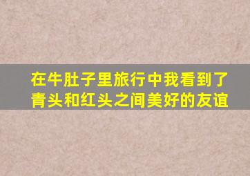 在牛肚子里旅行中我看到了青头和红头之间美好的友谊